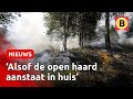 Natuurbranden veroorzaken heftig stankoverlast in Brabant ?❌ | Omroep Brabant