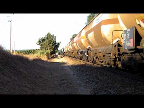 Comboio n.º 98206 - Casal da Coutada