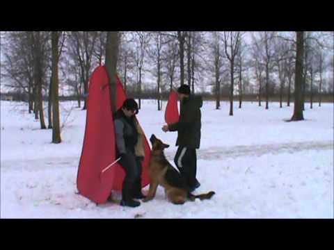 Schutzhund/IPO Protection Training