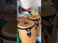 Meinl Bongos Conguitas Tower Of Power Soul Vaccination