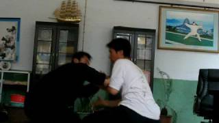 preview picture of video 'Chen-style push hands'