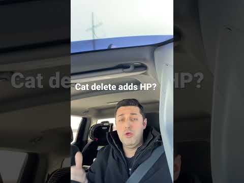 Does cat delete gain you any HP?