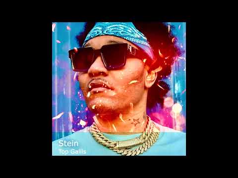 STEIN Top Gallis (Audio)