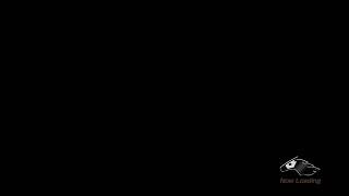 馬育成