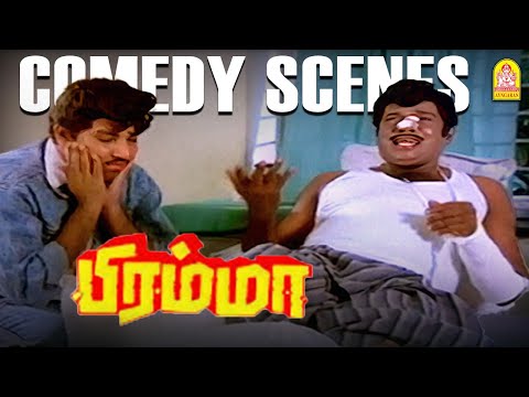 ' கவுண்டமணி - சத்யராஜின் தாறு மாறு காம்போ காமெடி கலாட்டா ''  |Bramma Comedy Scene | Goundamani