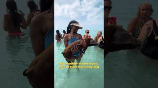 Swimming with pigs in the Bahamas 🇧🇸  #swimmingpigs #exuma #pigs