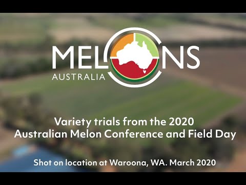 Melons Australia