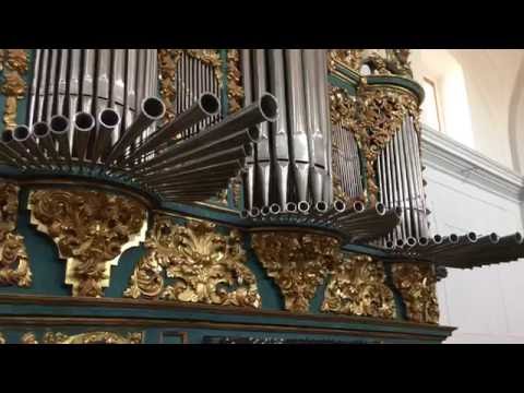 Silvia Márquez Chulilla - Tordesillas (Valladolid, Spain), organ by Phelipe Urarte, 1716