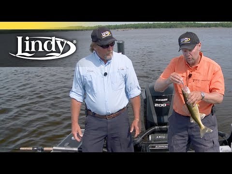 Trolling For Shallow Dirty Water Walleye