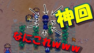 破天荒な２人がいく！Stardew Valleyマルチ実況Part14