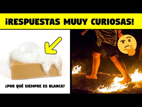 Questions with very curious answers 🧠🤩 [Q&A#21]