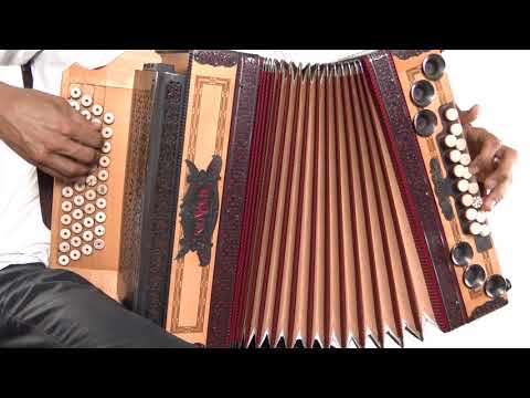 Ziachfuchs  "Verena Walzer" von Herbert Pixner