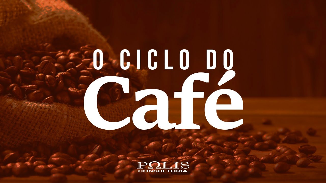 CICLO DO CAFÉ: Resumo de História - Polis Consultoria