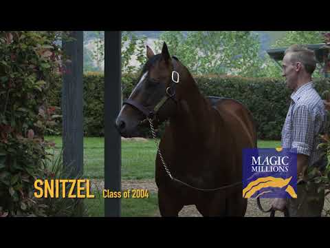 2018 Magic Millions Gold Coast Yearling Sale TVC