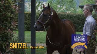 Voiceovers for Radio/TV/Cinema/Online etc