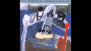 The Pastels / Basement Scam