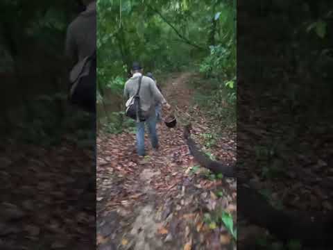 AMAZONIA BOLIVIANA SANTA ANA DEL YACUMA -BENI