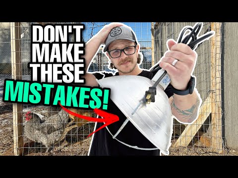 , title : 'Top 10 Chicken Beginner MISTAKES You DON'T Want To Make! | How To Raise Chickens!'