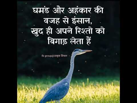 घमंड और अहंकार की वजह से...!! true line status / sad shayari status / sad status /#shorts#motivation