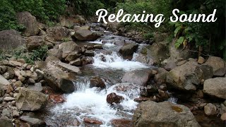Relaxing Sound. Calm Music with Sound of Nature. Meditate and Relax. Calm the Mind.