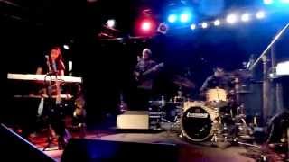 Joan As Police Woman - Witness - live Feierwerk Munich 2014-03-24