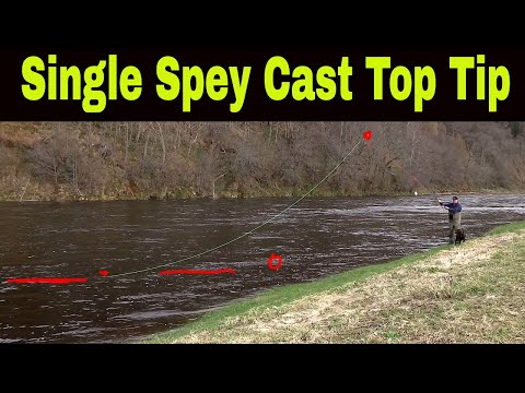Perfect Your Single Spey Cast With These Pro Tips