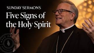 Five Signs of the Holy Spirit - Bishop Barron's Sunday Sermon