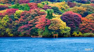 Morandi - Keep You Safe (CUT)