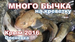 Крым ловля бычка на азовском море