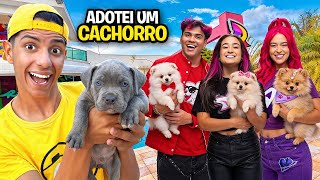 ADOTEI UM CACHORRINHO *Conheça o novo pet dos Rosa !