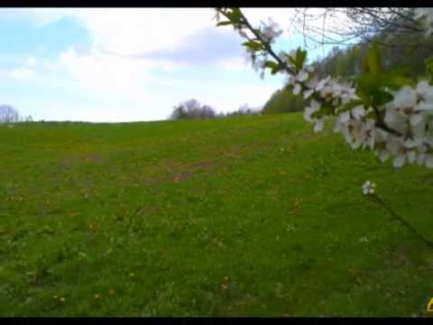 Primovara Primovara - Jovan Cimpokic