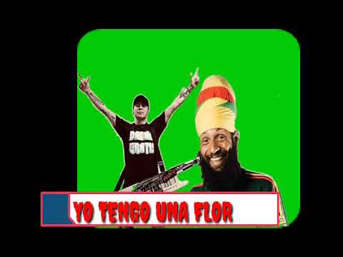 fidel nadal ft damas gratis - yo tengo una flor