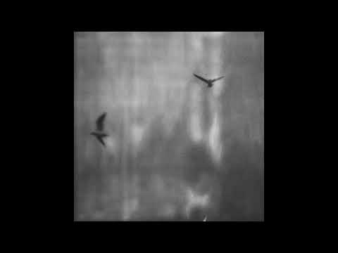 green montana x j9ueve type beat ~ moon