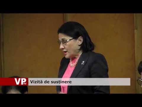 Vizită de susținere