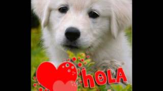 Luis miguel Paloma querida