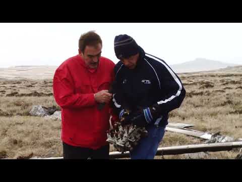 Juan Carlos Ferraras y las huellas en Monte Kent