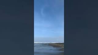 Cindy Musa tiktok short be like ..