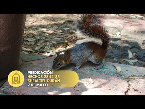 Predicación Hechos 23:12-35 | Sanctorum Communio