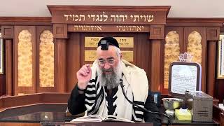 מה מברכים על חיטים מבושלות ברכה ראשונה ואחרונה (הרב יצחק ישראלי) - התמונה מוצגת ישירות מתוך אתר האינטרנט יוטיוב. זכויות היוצרים בתמונה שייכות ליוצרה. קישור קרדיט למקור התוכן נמצא בתוך דף הסרטון