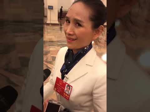 人大代表：习主席真是太伟大了！希望终身连任，这是老百姓心声