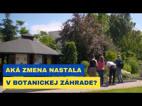 Košice sa sprístupňujú pre nevidiacich<br />Rozhýbaný kraj (78)