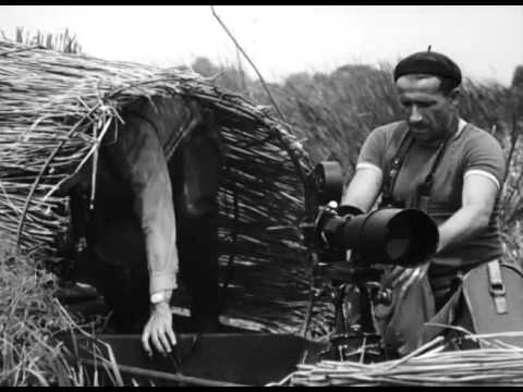 Pierwsze filmy Włodzimierza Puchalskiego - ujęcia