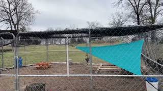 Review 1 Heavy Knitted Netting | Pinnon Hatch