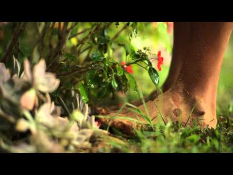 Trailer Com os Pés na Cabeça