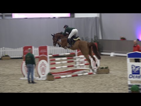 Okawango v. Ogano Sitte - Cornet Obolensky, OS, Hengst * 2018