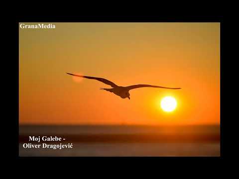 Moj Galebe - Oliver Dragojević