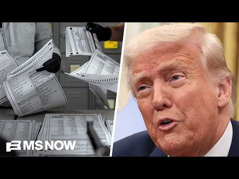 Trump 'is the arsonist' and SCOTUS had ability to be fire department but they refused: Law Prof.