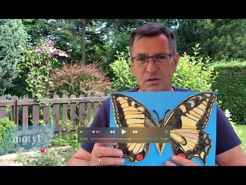 KROPLE – Wszystko nowe