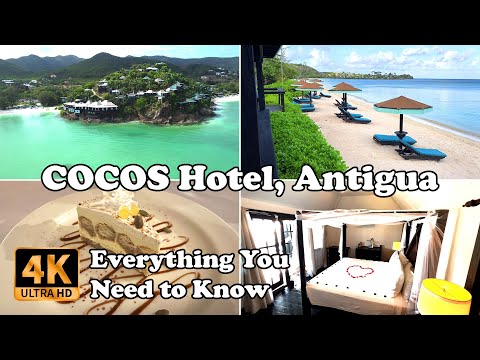 Videos del Cocos Antigua 4★ en Bolans, Antigua y BarbudaVer MásVerPrecios15CerrarConsulta por Whatsapp 🇦🇷BookingTripadvisorExpediaAgodaTravelocityOrbitzPricelineTripSkyscannerKayakHotelesTrivagoLastminuteHotwireTui