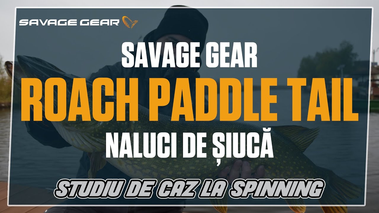 Savage Gear Leurres Souples 3D LB Roach Paddle Tail Bulk - Leurres souples  - Magasin de peche PREDATEUR-PECHE